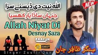 Allah Niyat Di Desnay Saza Jina Sada Yar Khasiya  Zaafir Jan  New Saraiki Song  Cheena Ka Shagird [upl. by Ymeraj]