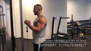 Armtraining  Bizepstraining Bizepscurls am Kabelzug mit EZ Griff supiniert schulterbreit [upl. by Otina]