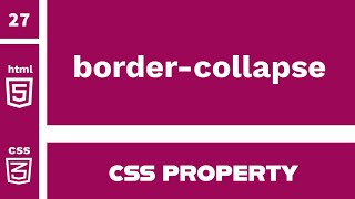 CSS Property  bordercollapse explained [upl. by Purdy]