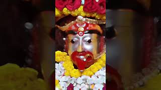 Koto sadhonar fole tapanmarik youtubeshorts taramaa tarapith maatara song viralshortsvideo [upl. by Tristis]