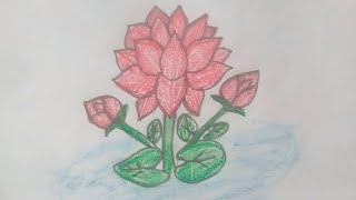 How to draw lotus flower drawing [upl. by Ttenaej511]