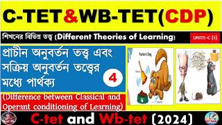 Different Between Classical And Operant Congratulations theoryLearning TheoryCtet And Wbtet [upl. by Ear]