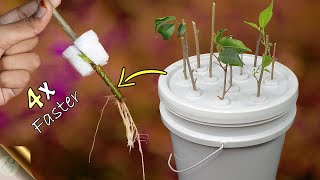 FASTEST METHOD OF ROOTING PLANT CUTTINGS  DIY HYDROPONIC CLONER [upl. by Gnouhp923]