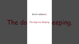 The dogs are sleeping finnishorts finnishpod101 shortsviral finnishorts finnishlanguage [upl. by Chaiken614]