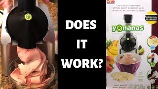 Yonanas Healthy Frozen Dessert Maker Review [upl. by Ttenneb]