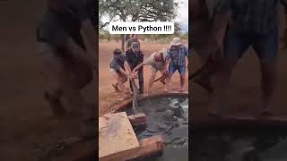 Men vs Python 🐍worldlife geopoliticalinsights animals [upl. by Anele]