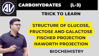 Carbohydrates structure of Glucose Fructose and Galactose Fischer projection Haworth projection [upl. by High4]