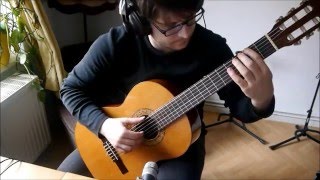 Lindenstraße  Titelmelodie arr für klassische Gitarre Solo [upl. by Wilmette]