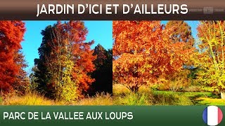 Jardins dici et dailleurs  Parc de la ValléeauxLoups  ChatenayMalabry  France 🌲 [upl. by Palma]