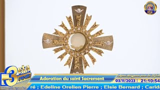 Adoration du Saint Sacrement [upl. by Lladnarc]