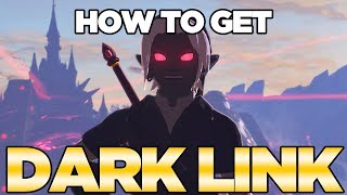 How to Get DARK LINK In Breath of the Wild  Austin John Plays [upl. by Ardaed]