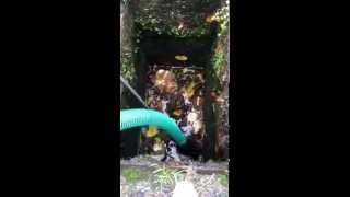 Venturi Sludge Pump Cleaning Drain [upl. by Courtund]