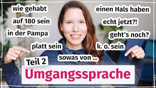 Deutsche Umgangssprache im Alltag Teil 2 für Fortgeschrittene B2 C1 [upl. by Hezekiah234]