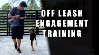 Off leash engagement training [upl. by Alat]