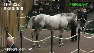 Krissys Candy sells for 15 million at 2024 Keeneland November [upl. by Tichonn857]