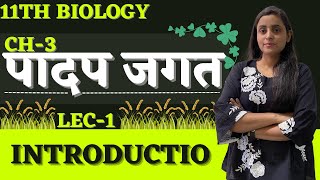 L1  Introduction अध्याय 3  पादप जगत Plant Kingdom  11th Biology NCERT हिन्दी माध्यम [upl. by Nnaytsirk]