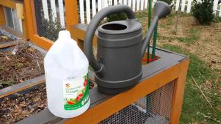 dIY kill weeds and grass the Vinegar way [upl. by Terti]