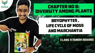 Bryophytes Life Cycle of Moss And Marchantia 11th BiologyChapter 08Diversity Amoung plants [upl. by Karlan]