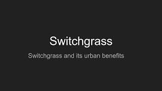 Switchgrass [upl. by Zischke]