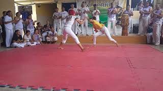 Capoeira De Rua Catarina no campeonato do alforria capoeira [upl. by Krasnoff]