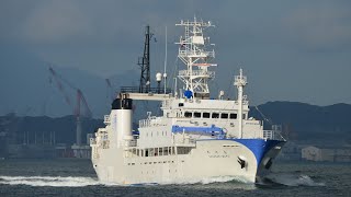 本年度就航！長崎大学水産学部の新造練習船 quot 長崎丸 quot が関門海峡に training ship quot NAGASAKI MARU quot [upl. by Mendelsohn]