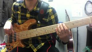 beyonce quotlistenquot  Bass Cover [upl. by Elleinnad]