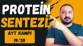 Genetik ŞifreProtein Sentezi  30 Derste AYT Biyoloji Kampı 19Ders  2025  Cici Biyoloji [upl. by Trinity]