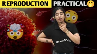 Samriddhi Mam Reply on Reproduction Practical😳  Biology Class 10 [upl. by Herold194]