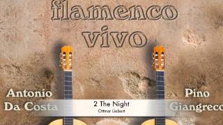 Flamenco Vivo  2 The Night [upl. by Sclater]