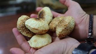 Furn Abou Assaf Jbeils Authentic Kaak Crunchy and Loaded with Sesame [upl. by Jillana332]