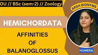 Affinities of balanoglossusZoologysem 1  Osmania University humera [upl. by Myer]