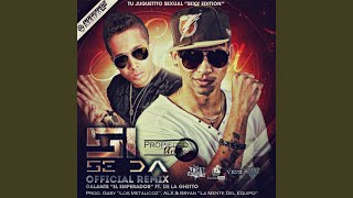 Si Se da Remix feat De la Ghetto [upl. by Neirod]