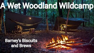 A Wet Woodland Wildcamp Camping Stoves Galore and More Barneys Biscuits and Brews [upl. by Haleemaj]