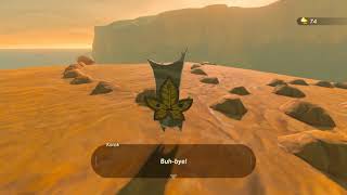 Korok seeds  Spectacle Rock  Wastland Tower 11  Zelda BOTW [upl. by Oileduab]