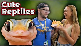 Top 5 Cutest Pet Reptiles In The World [upl. by Haugen]