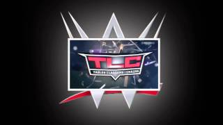 WWE TLC 2013 Pyro [upl. by Mabelle]