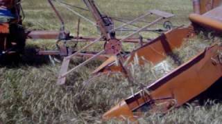 Allis Chalmers 40 combine at Hutchinson [upl. by Eisdnyl]