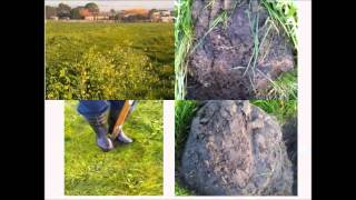 Get the Dirt on Soil Ecology with Jill Clapperton [upl. by Yci]