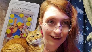 Gingersnap Learns Tarot 92524 [upl. by Neleh]