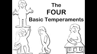 4 The Cholerics Driving Temperament [upl. by Kassity]