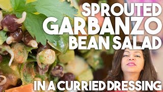 Sprouted GARBANZO BEAN Salad  Healthy Recipe  Kravings [upl. by Othilia581]