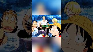 The SURNAMES of the STRAWHATS shorts onepiece anime ytshorts viralvideo [upl. by Aciamaj]