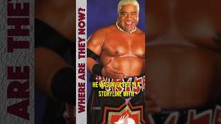 Where Is Rikishi Now [upl. by Ennaid]