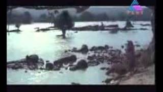 YouTube Chirakulla Mohangale Lava 1980 mpeg4 [upl. by Elwee]