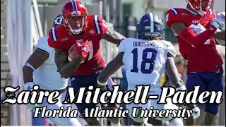 Zaire MitchellPaden TE FULL 2021 Season Highlights  Unknown amp Underrated NFL Prospect Series 2022 [upl. by Vijnas]