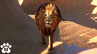 What Happens When a Lion Enters Hyena Territory  LION VS HYENAS  Planet Zoo [upl. by Ezaria]