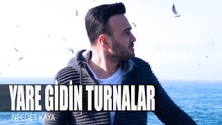 Necdet Kaya  Yare Gidin Turnalar Akustik Versiyon Video Klip [upl. by Nolyd]