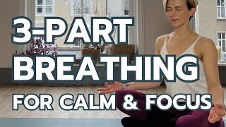 3Part Diaphragmatic Breathing 😮‍💨 7minute Guided Breathing Practice [upl. by Ardith]