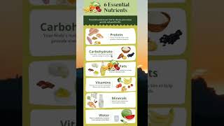 6 essential nutrients your body need [upl. by Avalsorim235]