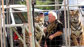 Loomis Circus with abuser Brian Franzens tiger show [upl. by Perice196]